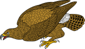 Birds of Prey Clipart image: Golden Eagle