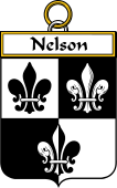Irish Badge for Nelson or Nealson