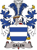 Coat of arms used by the Danish family Galen