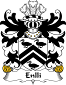 Welsh Coat of Arms for Enlli (of Lleyn)