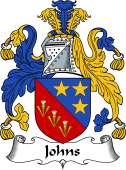 Scottish Coat of Arms for Johns