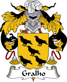 Portuguese Coat of Arms for Gralho