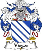 Portuguese Coat of Arms for Viegas