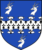 English Family Shield for Snow