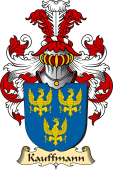 v.23 Coat of Family Arms from Germany for Kauffmann