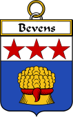Irish Badge for Bevens