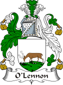 Irish Coat of Arms for O'Lennon
