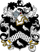 English or Welsh Coat of Arms for Temple (1576)