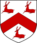 English Family Shield for Higgs