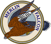 Birds of Prey Clipart image: Merlin Falcon-M
