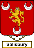 English Coat of Arms Shield Badge for Salisbury