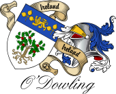 Sept (Clan) Coat of Arms from Ireland for O'Dowling