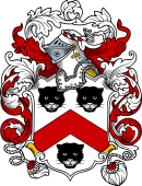 English or Welsh Coat of Arms for Newport