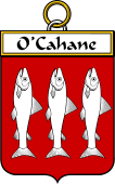Irish Badge for Cahane or O'Cahane