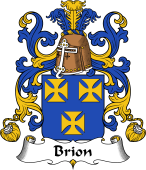 Coat of Arms from France for Brion