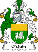 Irish Coat of Arms for O'Quin or Cuinn