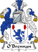 Irish Coat of Arms for O'Brennan