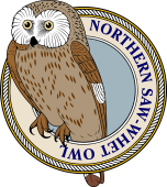 Birds of Prey Clipart image: Northern Saw-Whet Owl-M