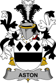 Irish Coat of Arms for Aston