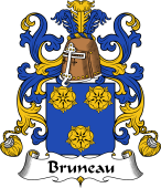 Coat of Arms from France for Bruneau