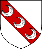 English Family Shield for Ring