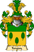 French Family Coat of Arms (v.23) for Tanguy
