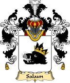 French Family Coat of Arms (v.25) Salaun