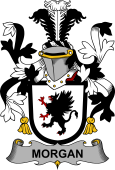 Irish Coat of Arms for Morgan