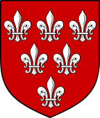 English Family Shield for Ireland