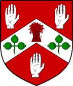 Irish Family Shield for O'Cullen or Culhoun