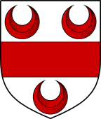 English Family Shield for Ogle