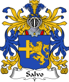 Italian Coat of Arms for Salvo