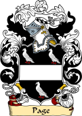 English or Welsh Family Coat of Arms (v.23) for Page