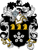 English or Welsh Coat of Arms for Bower