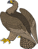 Birds of Prey Clipart image: Ring Tailed Eagle