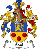 German Wappen Coat of Arms for Saul
