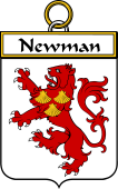 Irish Badge for Newman