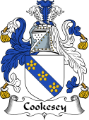 English Coat of Arms for Cookesey