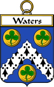 Irish Badge for Waters