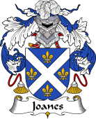 Portuguese Coat of Arms for Joanes