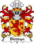 Welsh Coat of Arms for Bleddyn (AP CYNFYN -Prince of Powys)
