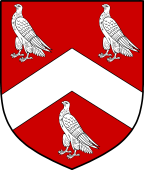 English Family Shield for Ridley
