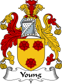 English Coat of Arms for Young I