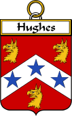 Irish Badge for Hughes