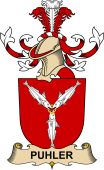 Republic of Austria Coat of Arms for Puhler (de Riegers)