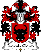 Polish Coat of Arms for Bawola Glowa