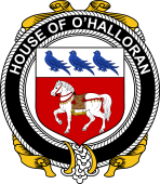 Irish Coat of Arms Badge for the O'HALLORAN family