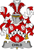 Irish Coat of Arms for Child