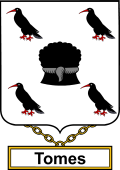 English Coat of Arms Shield Badge for Tomes