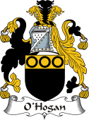 Irish Coat of Arms for O'Hogan